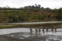 1_P1000769-Ricefields-between-Antsirabe-and-Miandrivazo