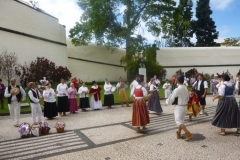 P1090120-Fest-da-Flor-Funchal