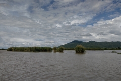 20230121-38-LIwonde-Shire-River