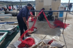 20240317-171-Marsaxlokk