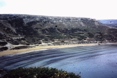 52-32-Mgarr-Golden-Bay