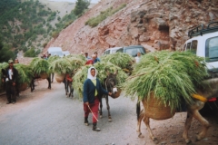 IMG_3705-Kasbah-Tahanaoute-op-weg-S-501-naar-Marakech