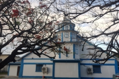 20250208-71-Flame-Tree-Church