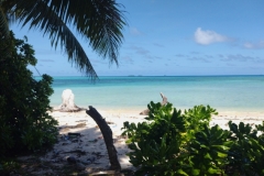 20250210-114-Laura-Beach-untouched-beauty