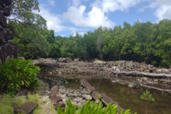 20250219-145-Nan-Madol
