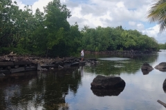 20250219-152-Nan-Madol