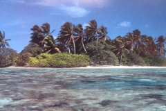 IMG_3365-Palmyra-Atoll-Robert-Shallenberer