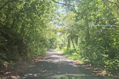 20250803-30-Nice-lane-is-Salem