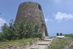 20250803-37-Old-Sugarmill-Montserrat