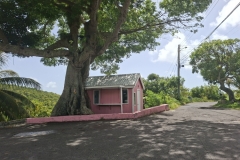 20250803-72-Busshelter-house-in-Brades