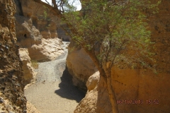 IMG_0245-Sesriem-Canyon