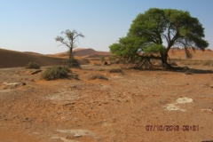 IMG_0310-Sosus-parking-naar-Deadvlei