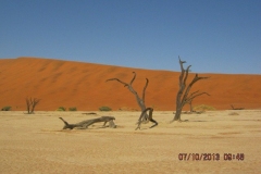 IMG_0319-Deadvlei