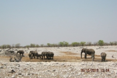 IMG_0745-Etosha-Olifantsbad