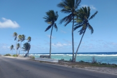 20250127-79-On-my-way-from-Anibare-to-Ewa-Beach