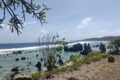 20250128-161-Coast-at-Anibare-Bay