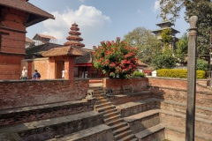 1_20221109-65-Kathmandu-Garden-kopie