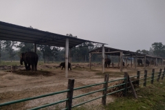 20221111-22-Sauraha-Elephant-Breeding-Centre