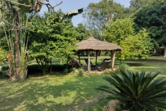 20221111-3-Sauraha-Green-Mansion-Resort