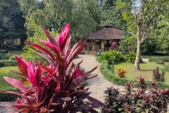 20221111-8-Chitwan-Green-Mansion-Resort-kopie