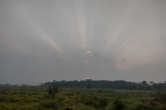 20221112-51-Chitwan-N.P.n-sunset