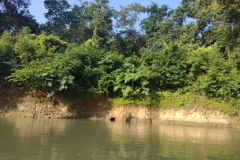 20221112-9-Chitwan-N.P.-crocodile-holes