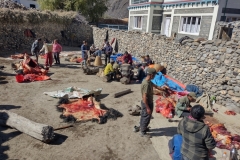 20221115-18-Kagbeni-slaughtering-yaks