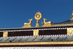 20221115-35-Kagbeni-Muktinath-monastery