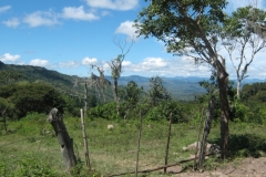 IMG_0838-Nicaragua-landschap-Miraflor