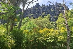 20251124-62-Hienghene-Rochers-de-Linderalique