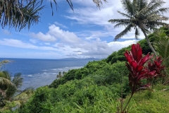 20251124-81-Omgeving-Touho