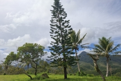 20251124-85-Vallee-de-la-Tiwaka