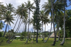 20251125-103-Ometteux