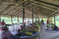 20251125-111-Ponerihouen-marche-couvert