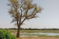 20230316-27-Ydillisch-landschap-langs-de-Niger