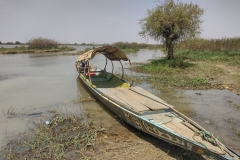 20230319-21-Excursion-on-the-NIger-in-Niamey