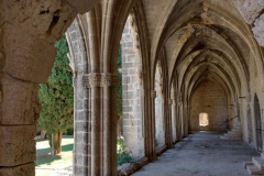 20220625-18-Bellapais-Abbey