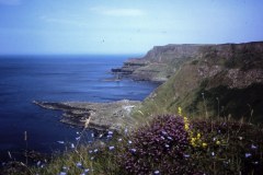 56-13-Giants-Causeway-Antrim-N.-IRL