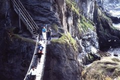 56-17-Carrick-a-rede-Antrim-N.IRL_