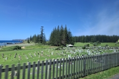 20251116-34-Cemetary