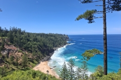 20251116-47-Captain-Cooks-Landing