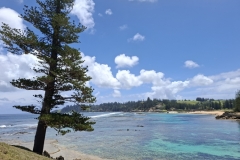 20251117-116-Lone-Pine-and-Emily-Bay