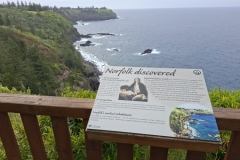 20251117-135-Captain-Cooks-Lookout