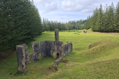 20251117-67-Arthurs-Vale