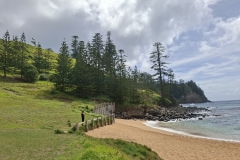 20251117-74-Emily-Bay-behind-the-cemetary