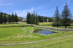 20251117-99-Typical-pond