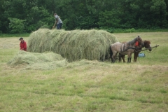 IMG_0484-Ouderwets-hooi-opladen-omgeving-Chust