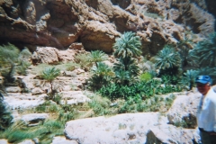 IMG_3868-Wadi-Al-Hams