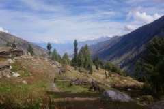 DSC_2345-Fairy-Meadows