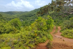 20250222-16-Ngardmau-Waterfall-trail